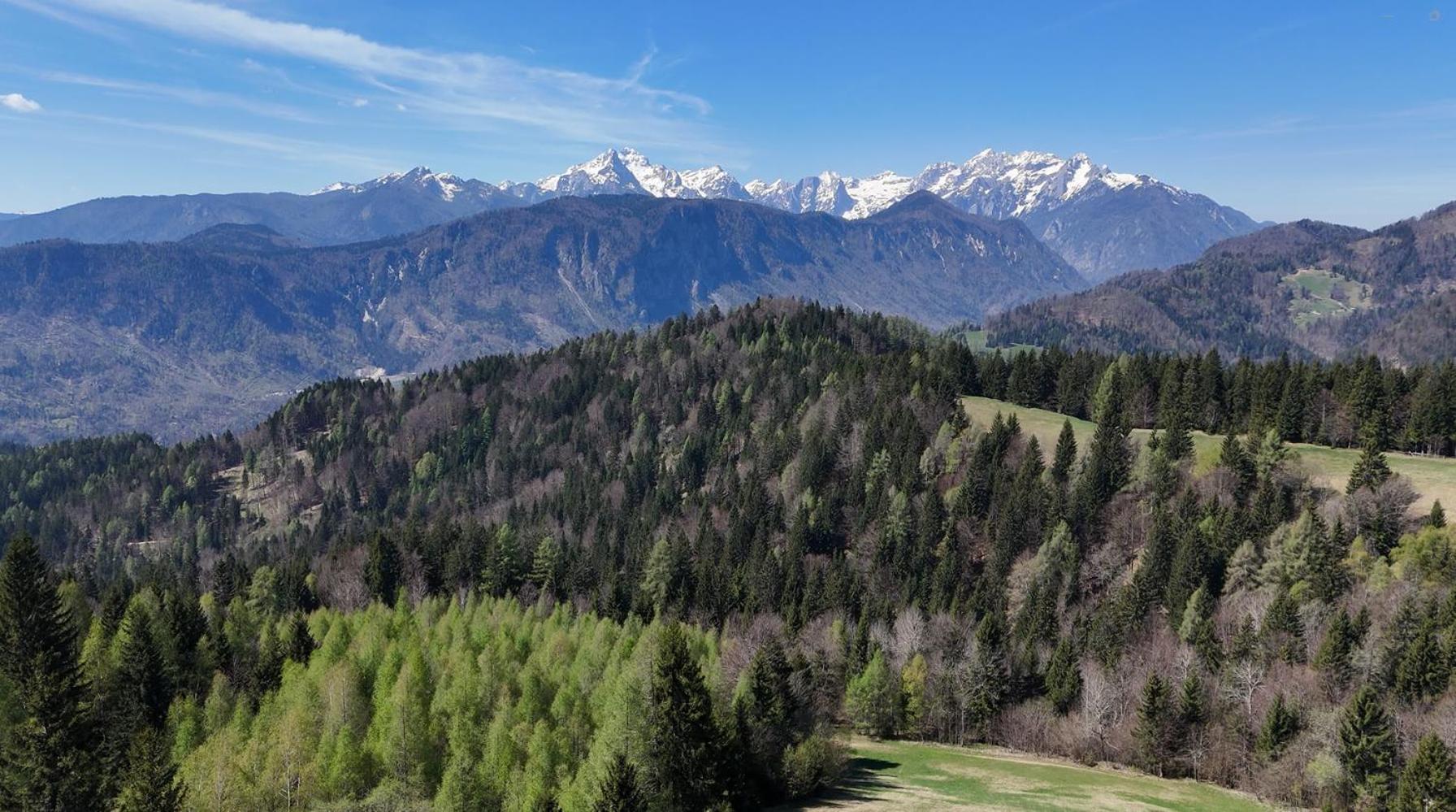 Span Cottage Jesenice Esterno foto